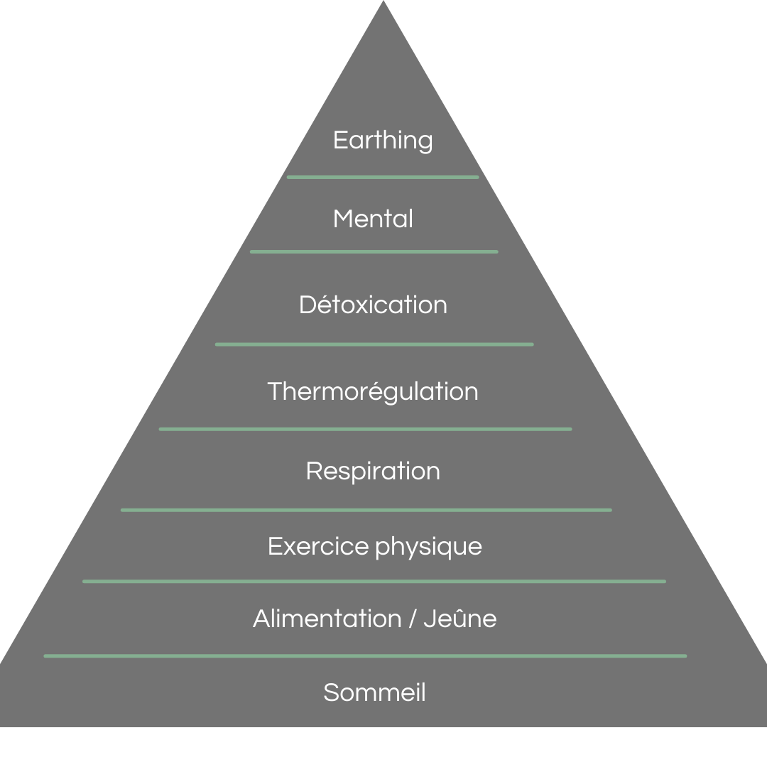 Pyramide des pratiques Nutritik Naturopathie Hossegor approche
