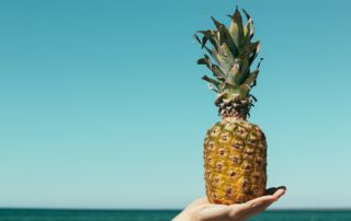 shallow focus photography of pineapple