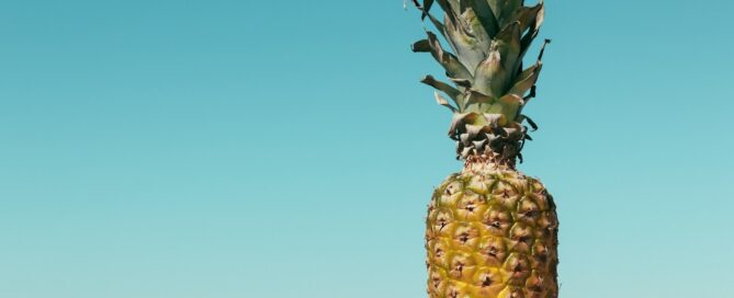 shallow focus photography of pineapple