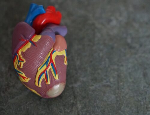 L’importance des marqueurs métaboliques dans la prévention des maladies cardiovasculaires