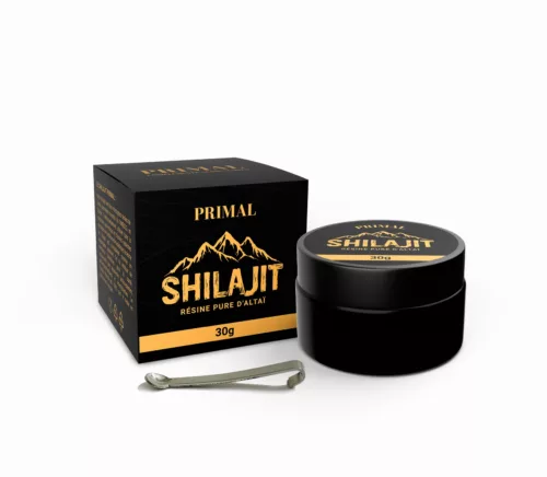 Shilajit 1