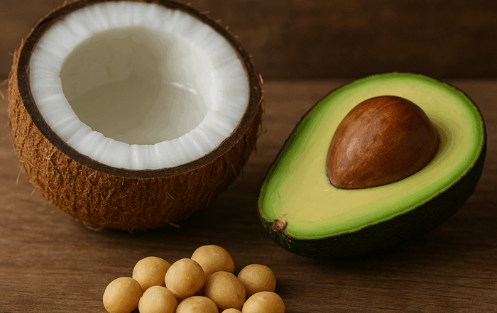 noix de macadamia coco avocat