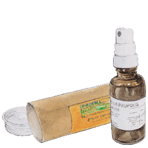 Spray Buccal à la Propolis