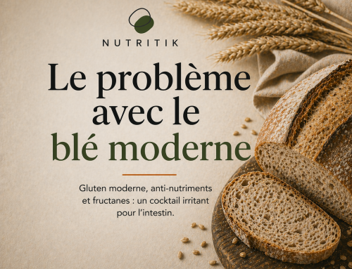 Le problème du blé moderne et ses effets sur la digestion et le microbiote