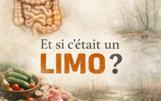 Et si c'était un LIMO _