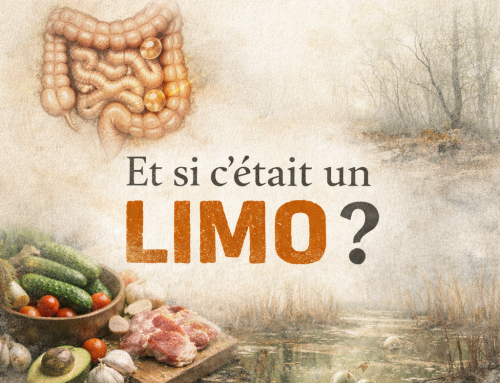 LIMO : et si vos troubles digestifs ne venaient pas du SIBO mais du côlon ?