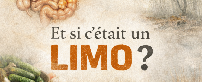 Et si c'était un LIMO _