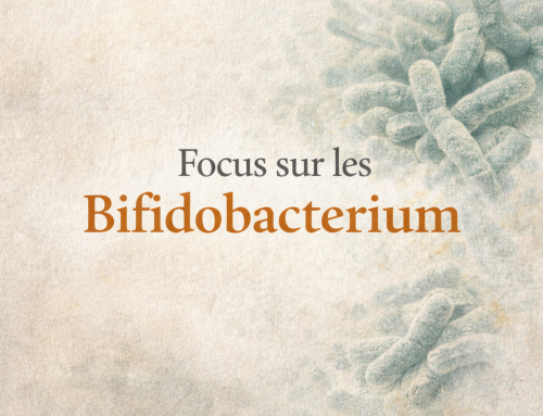 Bifidobacterium : pourquoi ces bactéries sont essentielles à votre digestion et à votre microbiote