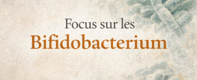 Focus sur les Bifidobacterium