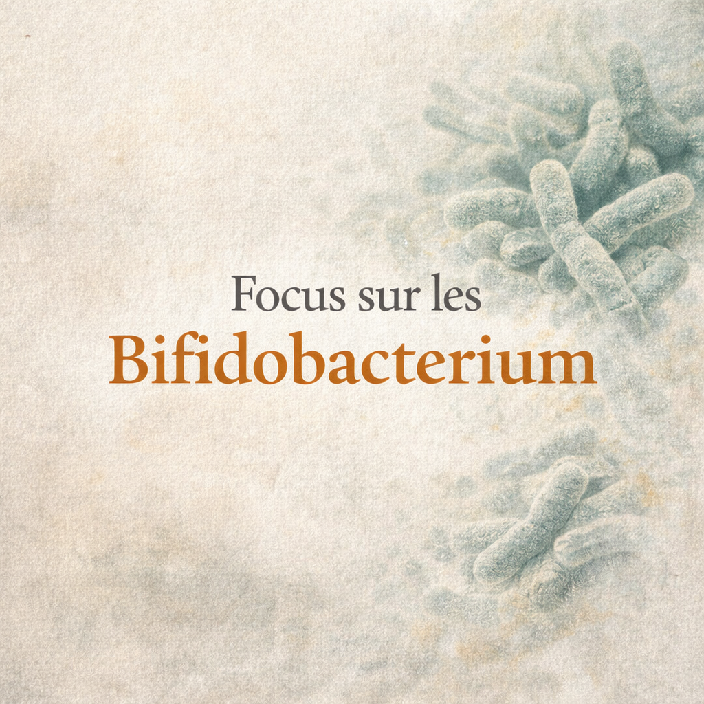 Focus sur les Bifidobacterium