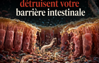 Les parasites et la barrière intestinale