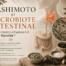 Hashimoto et microbiote intestinal