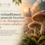 Champignons pathogènes et réchauffement climatique