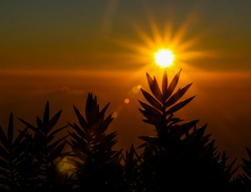 Rythmes circadiens et sommeil : ce que la science sait vraiment de notre horloge biologique