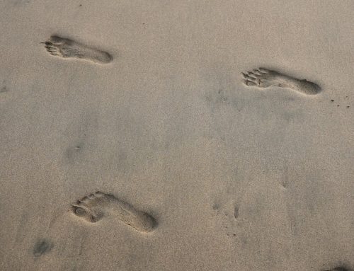 Marcher pieds nus : ce que disent la biomécanique et les études