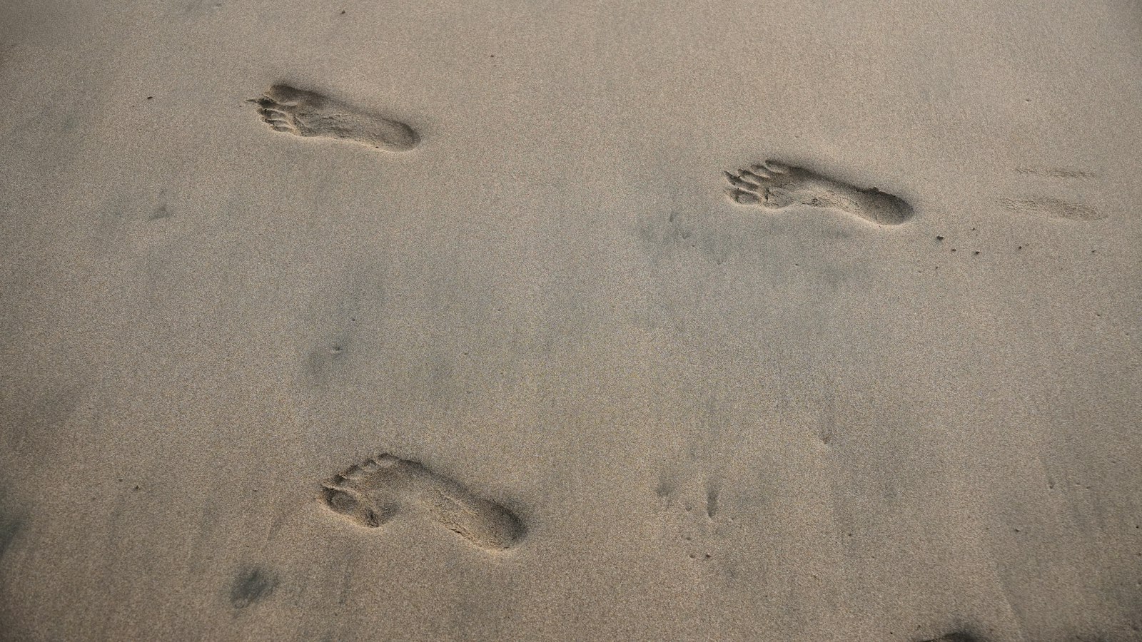 Empreintes de pas dans le sable mouillé d'une plage