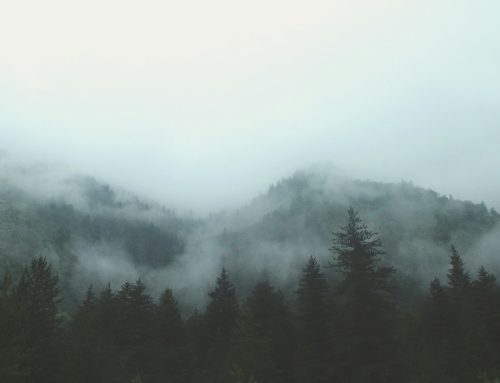 Respiration nasale, tolérance au CO2 et méthode Buteyko : ce que disent les études