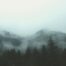 Forêt enveloppée de brume dans la lumière douce du matin